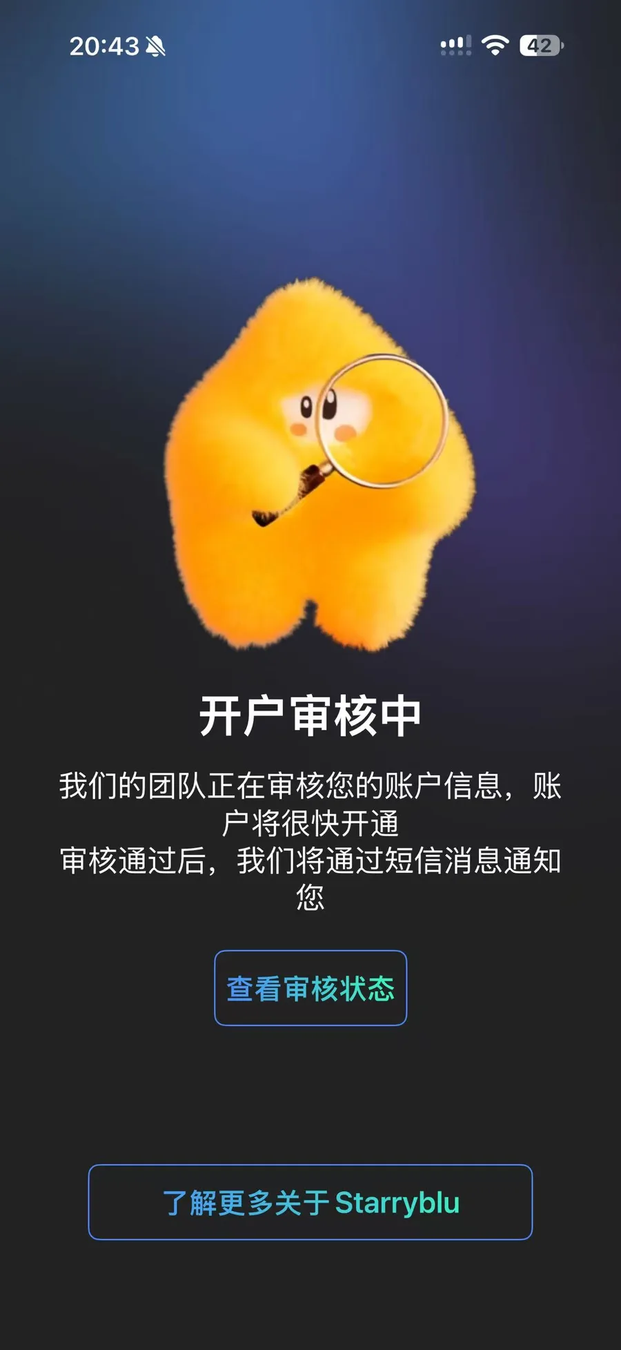 StarryBlu 账户资料审核页面